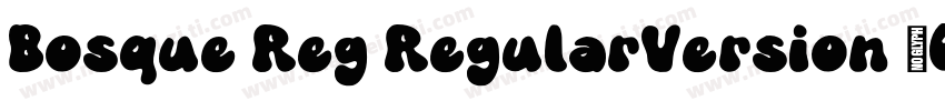 Bosque Reg RegularVersion 10字体转换
